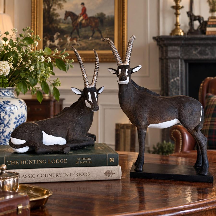 The Resting Antelope